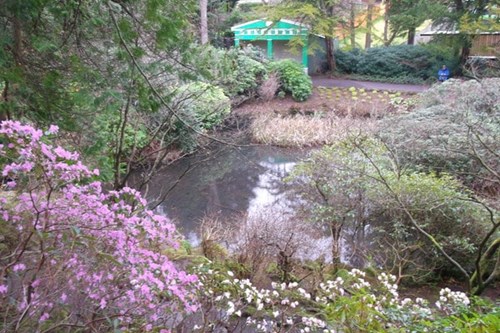 Johnston Gardens in Aberdeen